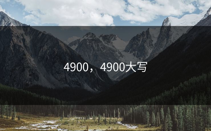 4900，4900大写